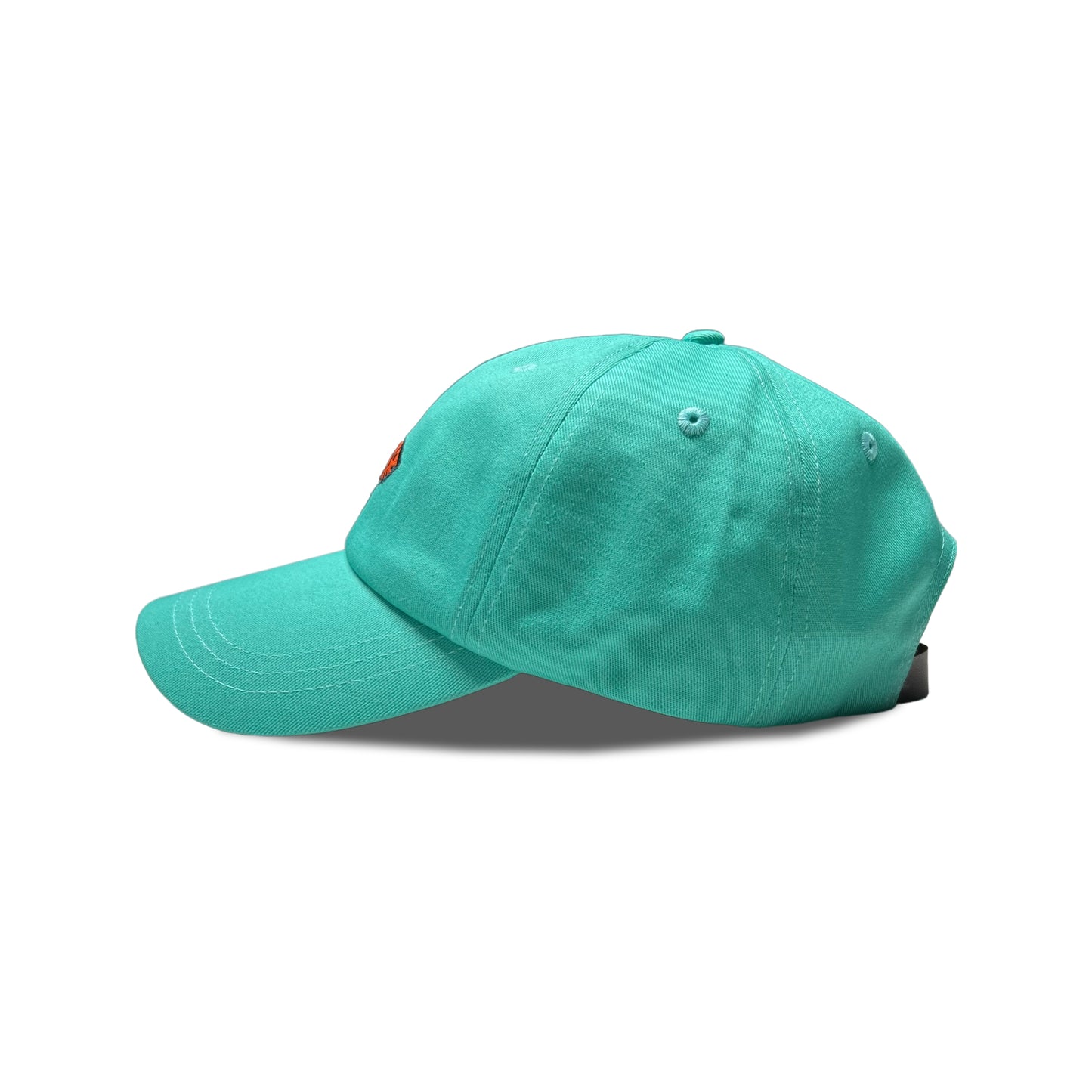 Boogie T Fish Dad Hat